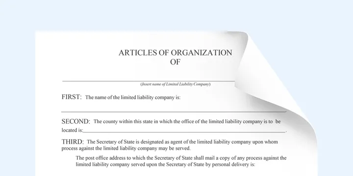 Simple Company Formation