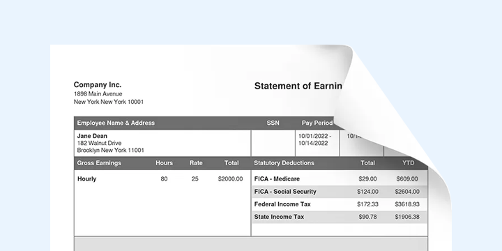 Real Paystubs